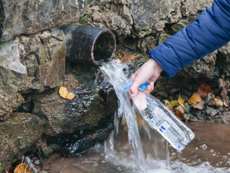 Почему не стоит пить родниковую воду из непроверенных источников